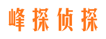 阳东市侦探公司